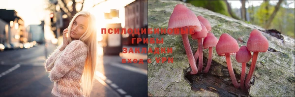 дмт Алексеевка