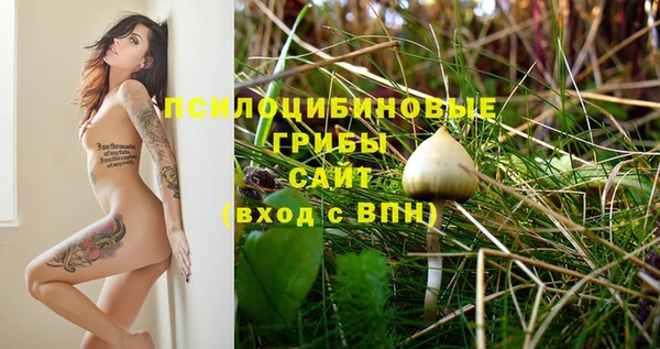 mix Абинск